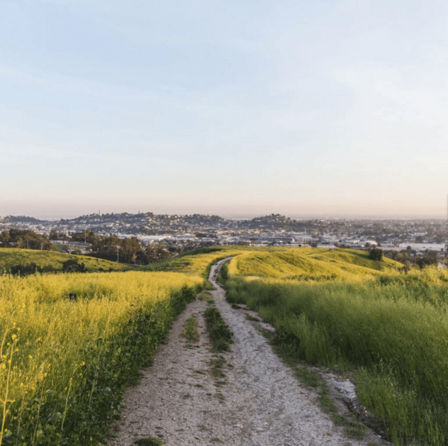 Capture d’écran 2019-04-29 à 12.32.48